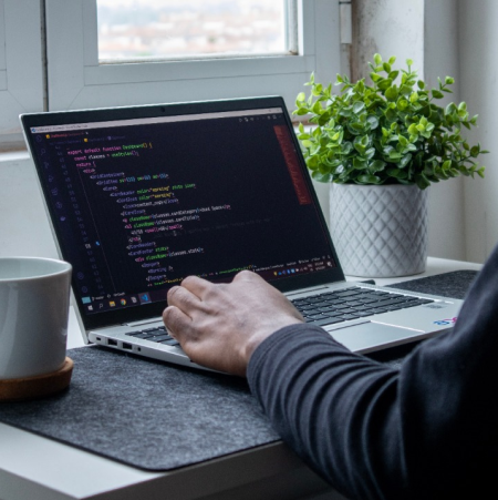 Web Development Service